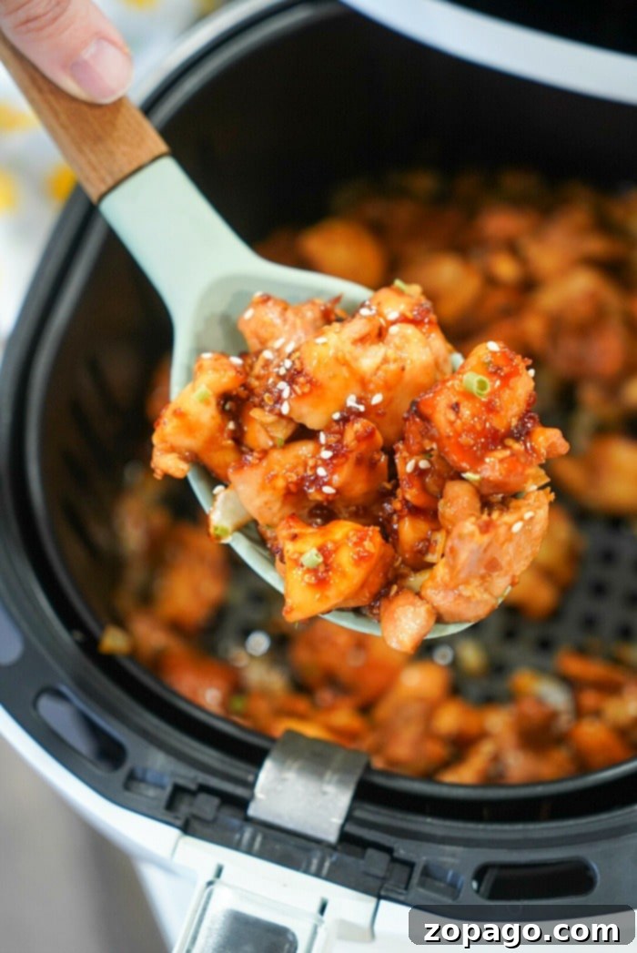 Ninja Foodi Chicken Wonders 7 Air fryer teriyaki chicken served with rice
