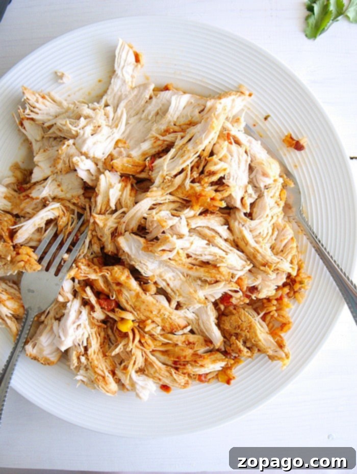 Ninja foodi shredded chicken from frozen or fresh. #ninjafoodi Instant Pot shredded chicken, versatile for many dishes