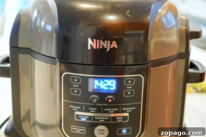 Ninja Foodi Chicken Wonders 3 Ninja Foodi multi-cooker demonstrating versatility