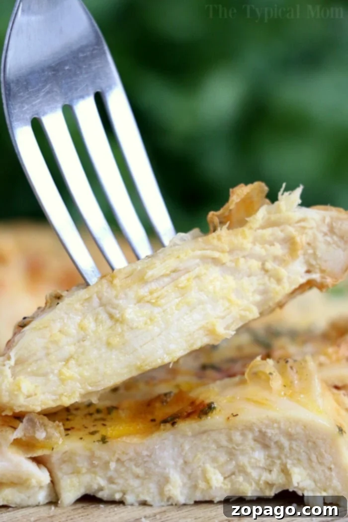 Frozen chicken breast in air fryer is so easy to make! Great hack if you forget to defrost your chicken but dinner is just minutes away. A fork holds a cooked chicken breast slice, showcasing its tender and juicy interior achieved by cooking a frozen chicken breast in an air fryer. The meat is seasoned with herbs and spices, while the background blurs into soothing shades of green.