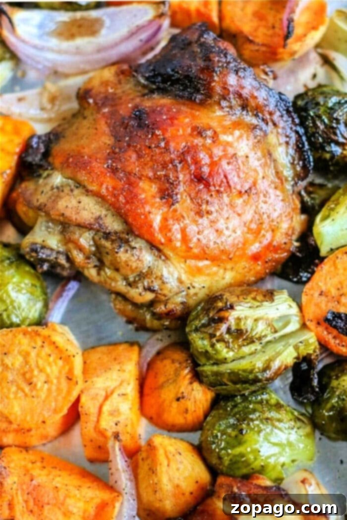 One-Pan Golden Chicken Thighs 2 one pan chicken thighs and vegetables, a healthy and easy sheet pan dinner recipe