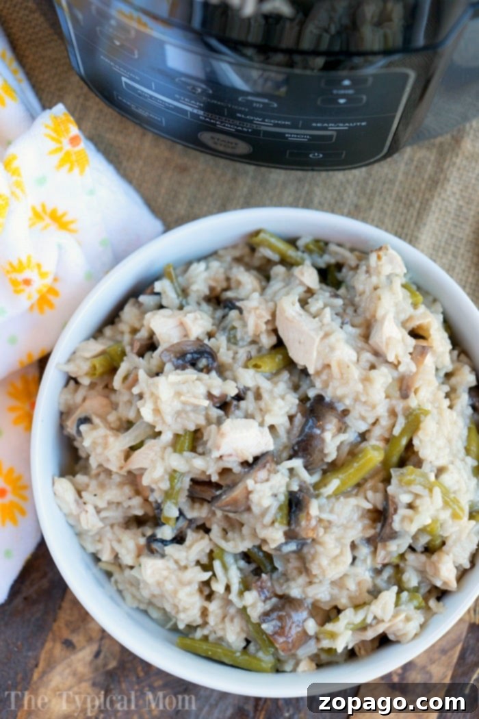 Ninja Foodi Chicken Mushroom Casserole: A perfect one-pot comfort meal, brimming with tender chicken, savory mushrooms, and rice, cooked to perfection in your Ninja Foodi or Instant Pot. A serving of Pressure Cooker Chicken Mushroom Casserole with a spoon, highlighting the creamy texture and rich ingredients, ready for a cozy meal.