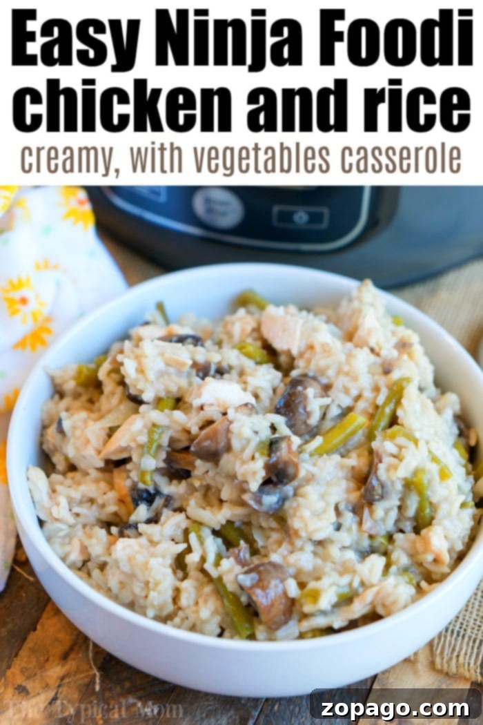 Ninja Foodi Chicken Mushroom Casserole: A hearty and flavorful one-pot meal that's perfect for busy weeknights, offering tender chicken, earthy mushrooms, and perfectly cooked rice. Creamy Ninja Foodi Chicken and Rice casserole with vibrant green beans, mushrooms, and succulent chicken pieces, served warm.