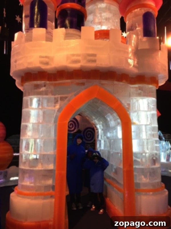 Kids and adults alike enjoy the thrilling ice slides at Queen Mary Chill. Children happily sliding down an ice slide inside Queen Mary CHILL