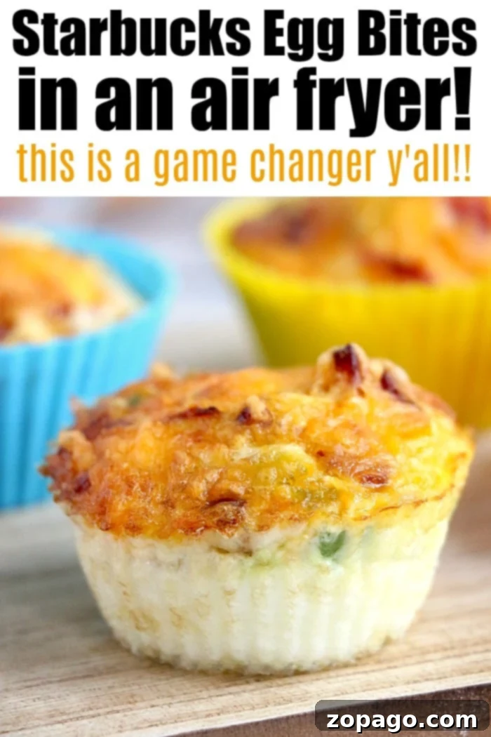 Easy Air fryer egg bites filled with bacon, cheese and onions are the best low carb and keto breakfast idea ever! Like Starbucks egg bites but customized! #airfryer #airfryerrecipes #ninjafoodirecipes #eggbites #starbuckseggbites #airfryereggbites A vibrant display of fresh, hot egg bites in an air fryer basket, ready to be enjoyed.
