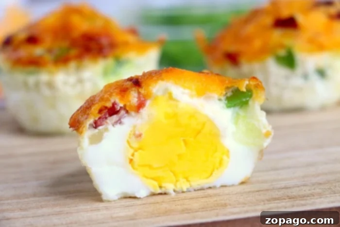 Air Fryer Mini Frittatas 4 An array of colorful air fryer egg bites in various molds, showcasing different flavor combinations.
