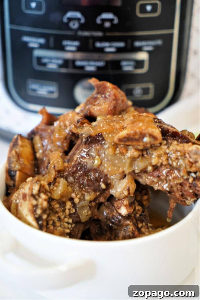 From Freezer to Feast: Pressure Cooker Short Ribs 6 A bowl of tender short ribs with onions and spices sits elegantly in front of a pressure cooker, reminiscent of the savory allure found in short rib dishes.