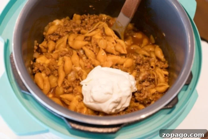One-Pot Instant Pot Enchilada Casserole 5 instant pot recipes