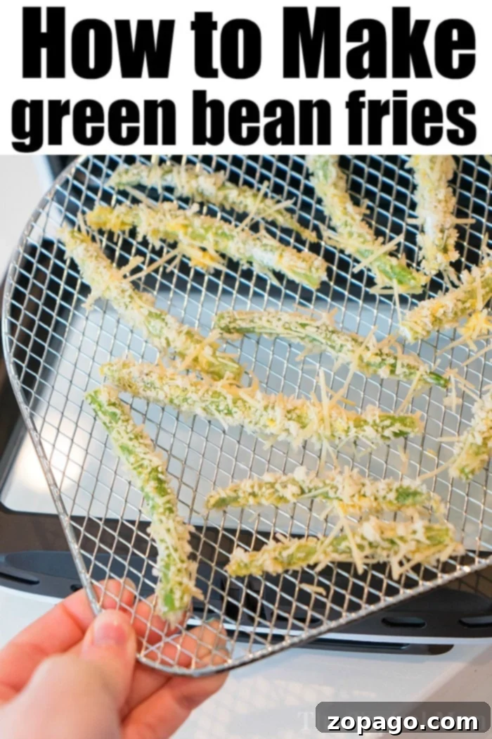 Learn how to make crispy air fryer green bean fries in the Power Air Fryer Pro, acclaimed as the best large air fryer on the market. With 3 racks, it's also a dehydrator, perfect for healthy snacks and family meals. #AirFryerRecipes #GreenBeanFries #PowerAirFryer A hand holding a metal rack with perfectly breaded air fryer green bean fries, positioned in front of the open Power Air Fryer Pro. The image includes the text 'How to Make Air Fryer Green Bean Fries,' emphasizing a delicious and healthy recipe made possible by this best large air fryer.