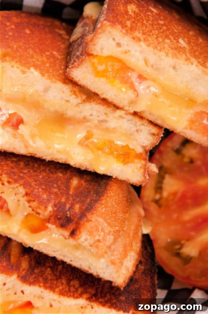 Air Fryer Grilled Cheese Perfection 2 Crispy golden grilled cheese sandwich with melted cheese oozing out, made perfectly in an air fryer.