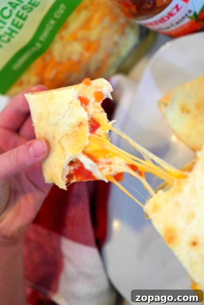 Crispy Air Fryer Quesadillas 2 Crispy air fryer chicken quesadillas with melted cheese and salsa