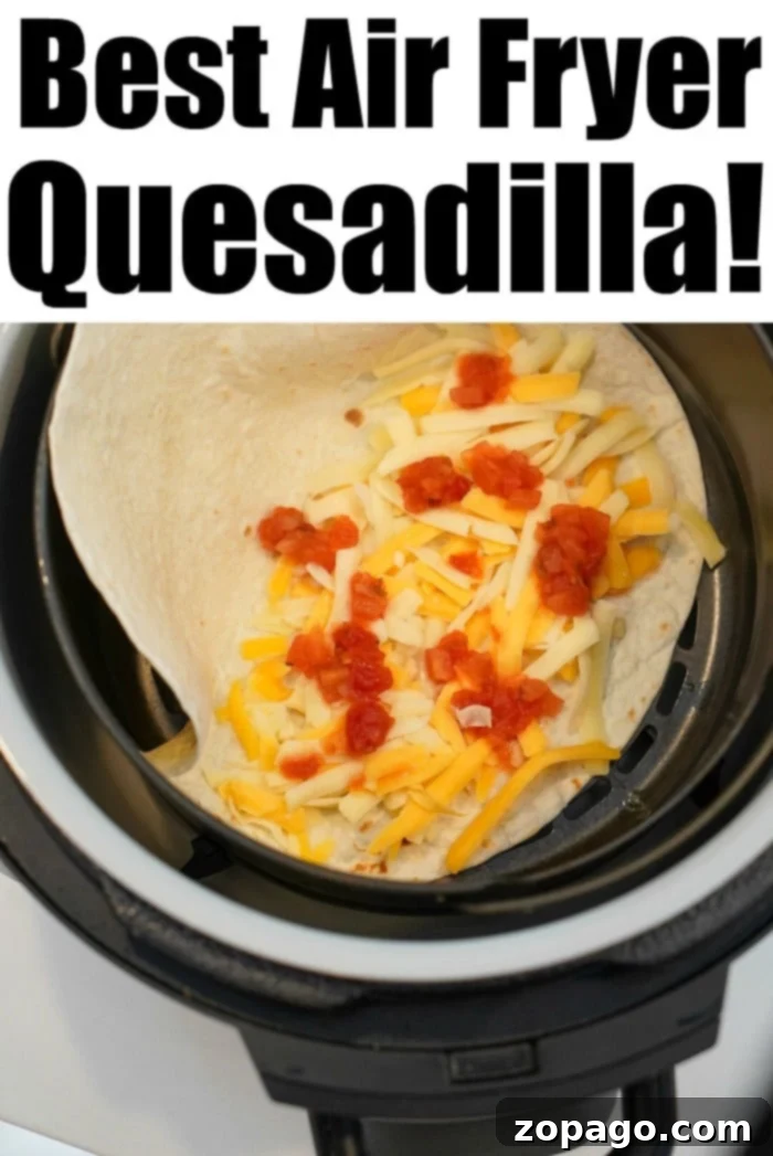 Air fryer quesadilla is the bomb! WAY better than on the stovetop or microwave, try this crispy cheesy lunch idea with 1 secret ingredient today. #airfryer #airfryerquesadilla #quesadilla #airfryerrecipes #ninjafoodi The best air fryer quesadilla, golden brown and crispy