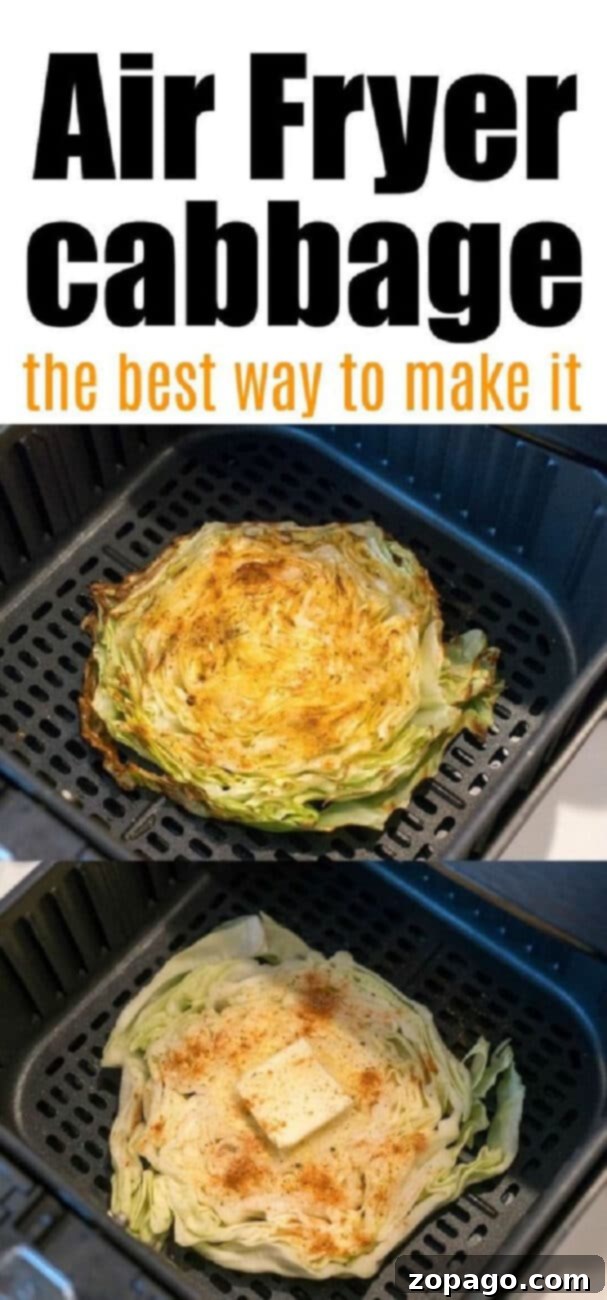 Crispy Air Fryer Cabbage 10 Variety of air fryer cabbage preparations