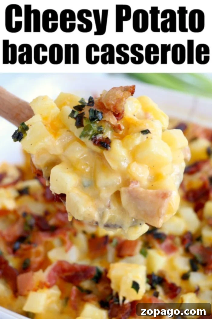 Potato casserole recipe is cheesy and easy to throw together with bacon and chives too. Serve for breakfast, brunch or dinner and it will surely be a hit. A beautifully baked Cheesy Potato Casserole, showcasing its golden-brown, bubbly top and creamy texture, garnished with fresh herbs, ready for serving.