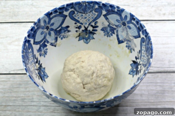 No-Knead Slow Cooker Wonder 2 Bread Dough Ready for Proofing