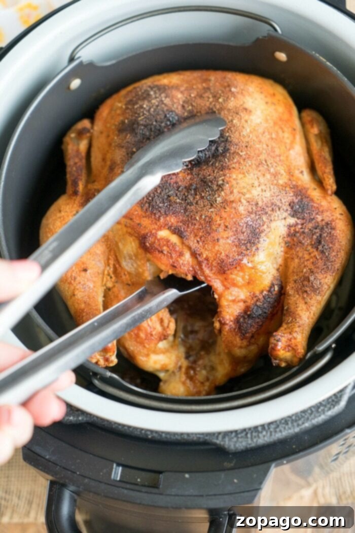 5-Ingredient Meals 5 A beautifully cooked whole chicken with crispy, seasoned skin sits inside a Ninja Foodi air fryer. Tongs are used to lift the chicken, showcasing its perfectly roasted, golden-brown and juicy appearance.