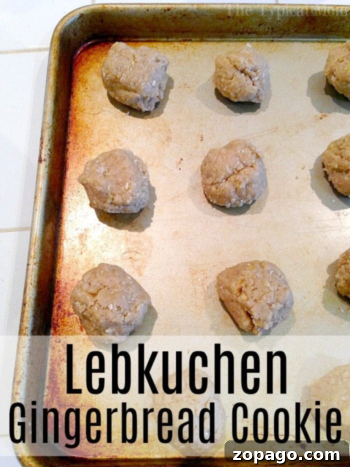 Classic German Lebkuchen 3 Unbaked Lebkuchen dough balls resting on a parchment-lined baking sheet, ready for the oven.