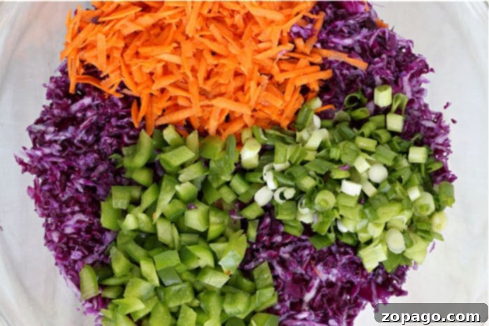 Vibrant Red Cabbage Slaw 4 Various kitchen tools including a mandoline slicer, knife, and grater, illustrating ways to shred red cabbage.