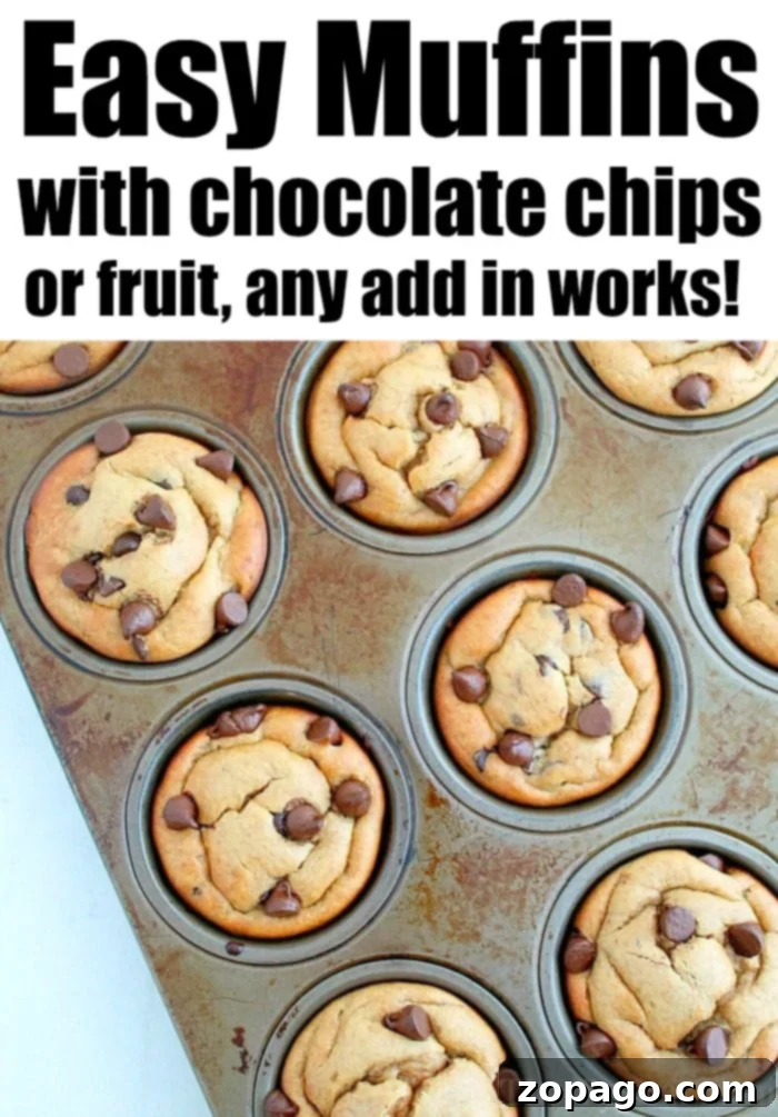 easy chocolate chip muffins