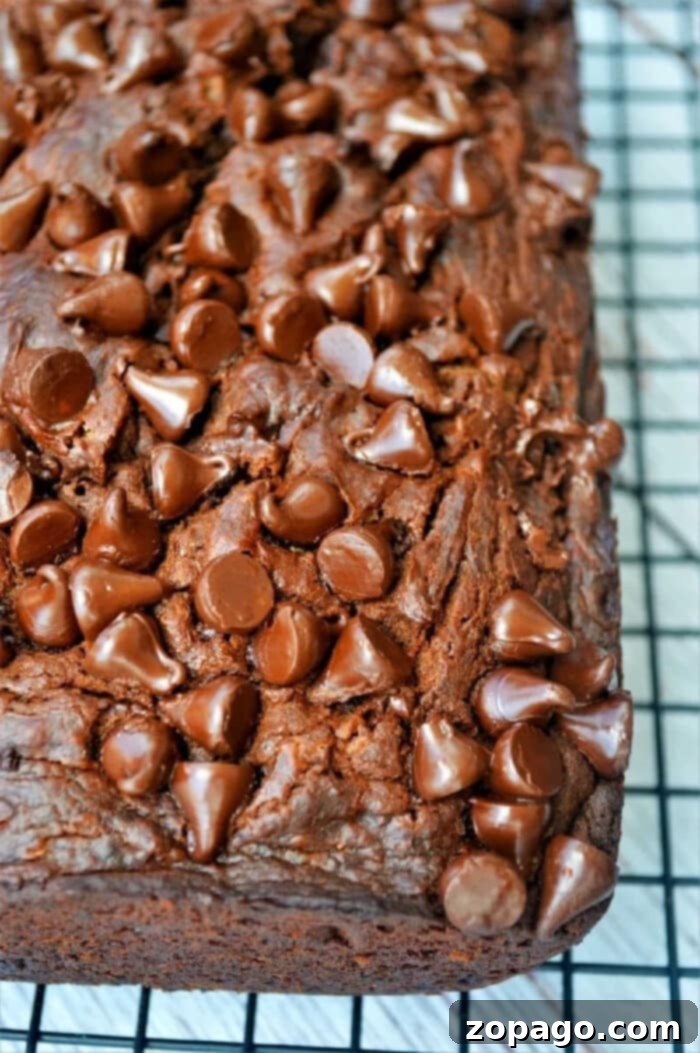 Rich chocolate pumpkin cake essence, adorned with chocolate chips on top, cooling gracefully on a wire rack.