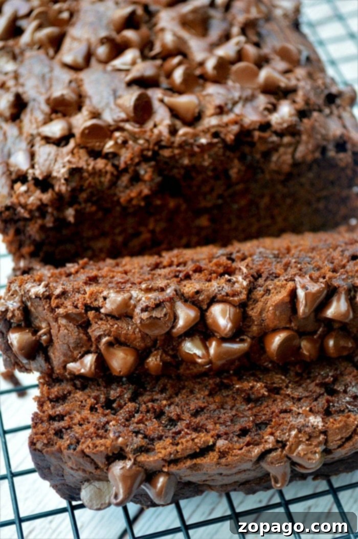 Sliced chocolate pumpkin bread topped with chocolate chips rests on a cooling rack, reminiscent of a rich chocolate pumpkin cake in its decadent allure.