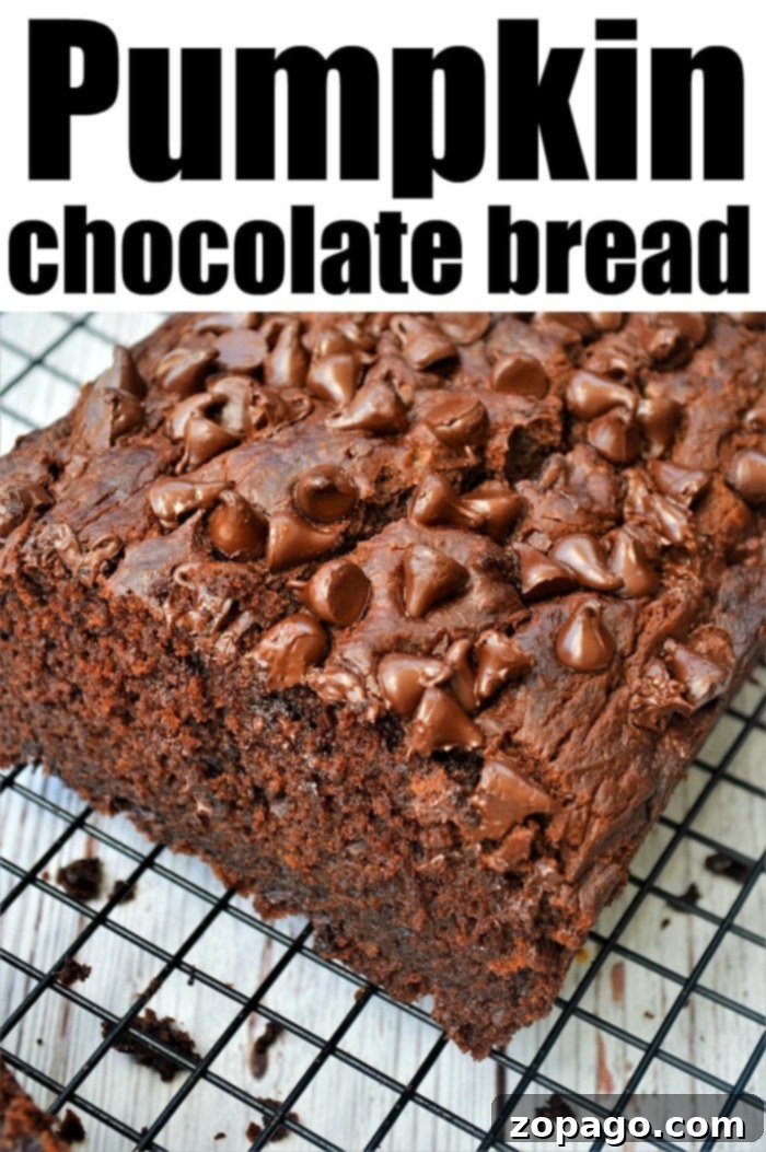 Pumpkin chocolate Bread