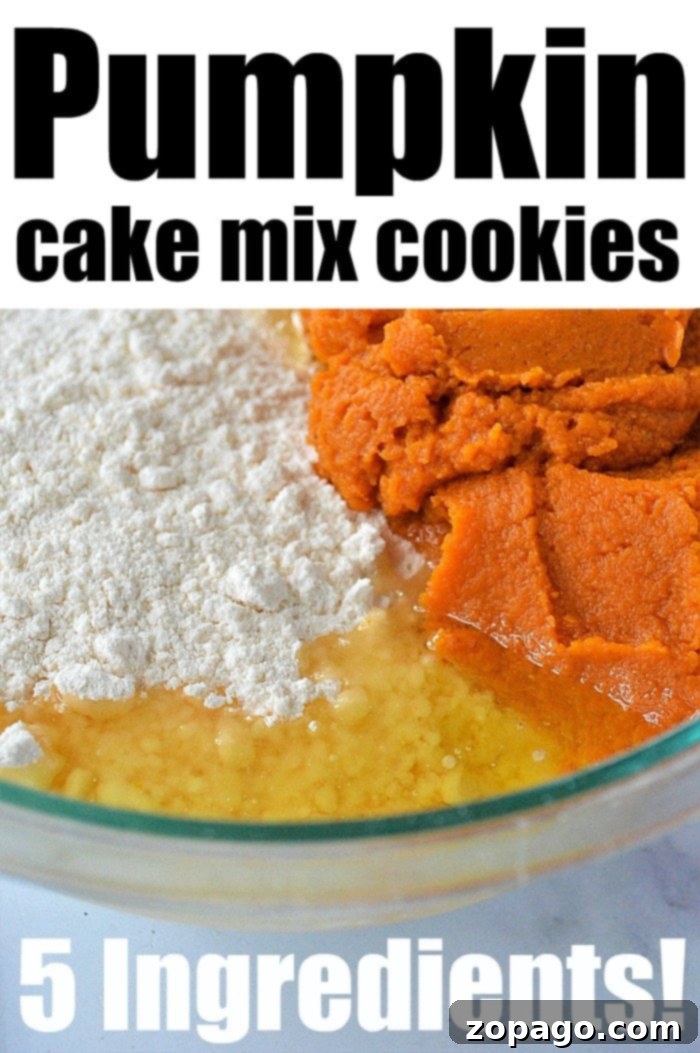 Easy Pumpkin Cake Mix Cookies 4 Close-up of golden pumpkin cookies made with cake mix, speckled with chocolate chips, on a baking sheet.