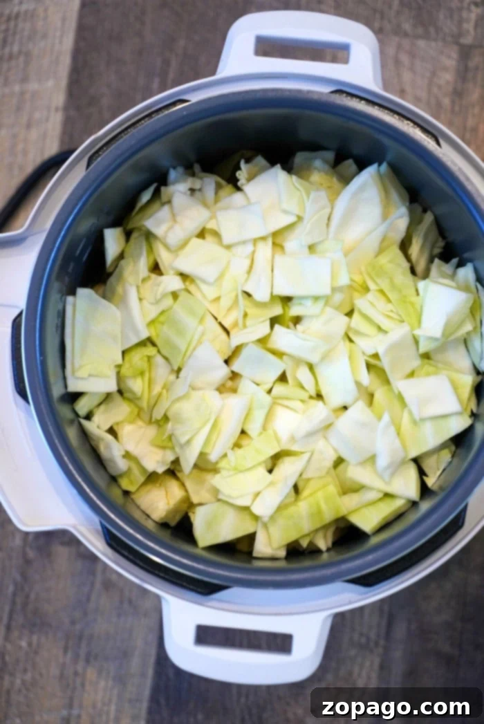 Sweet and Savory Instant Pot Mountain Dew Stew 10 Hearty Instant Pot cabbage recipe, showcasing the stew's ingredients and rich texture