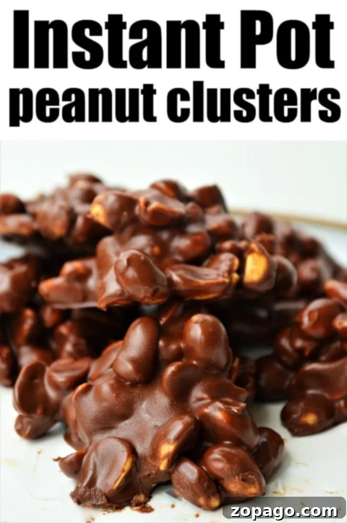 Peanut Delights 2 Instant Pot Peanut Clusters - Easy Homemade Chocolate Treat