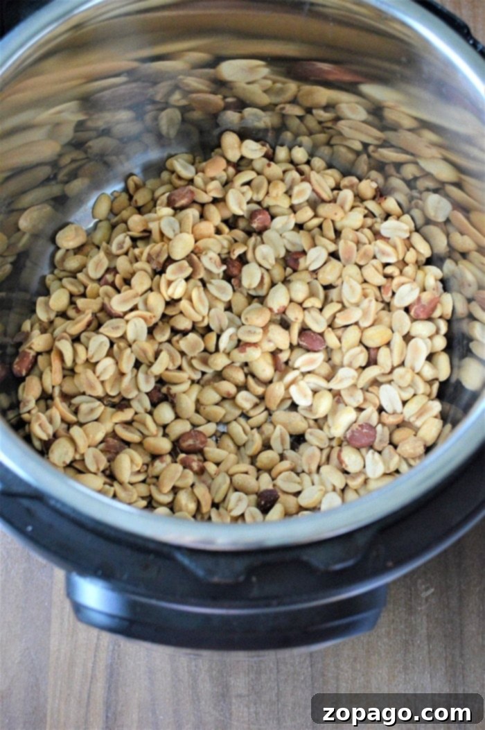 Peanut Delights 4 Easy Peanut Dessert Preparation