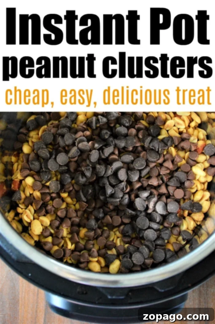 Peanut Delights 5 Homemade Peanut Clusters Recipe