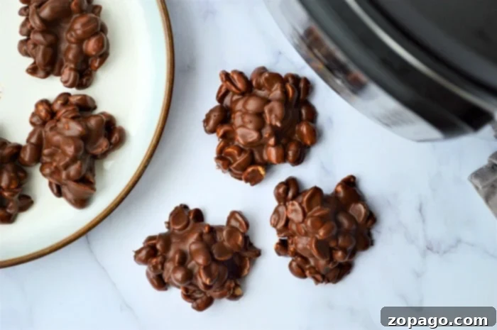 Peanut Delights 8 Pressure Cooker Peanut Clusters - Easy Storage