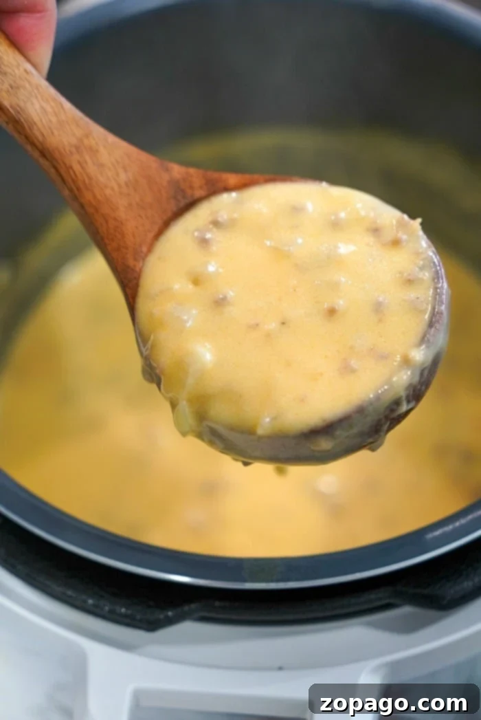 The Ultimate Instant Pot Beer Cheese Soup 7 instant pot beer cheese soup