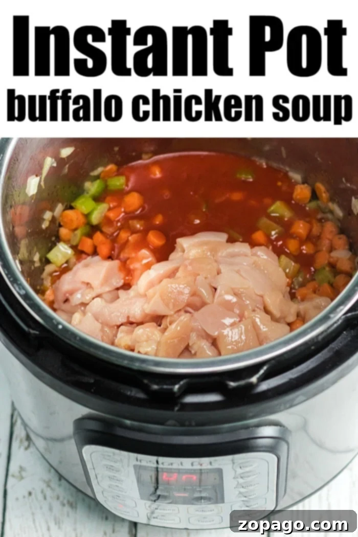 Easy Creamy Instant Pot Buffalo Chicken Soup 6 A delectable bowl of Instant Pot Buffalo Chicken Soup, garnished and ready to be served.