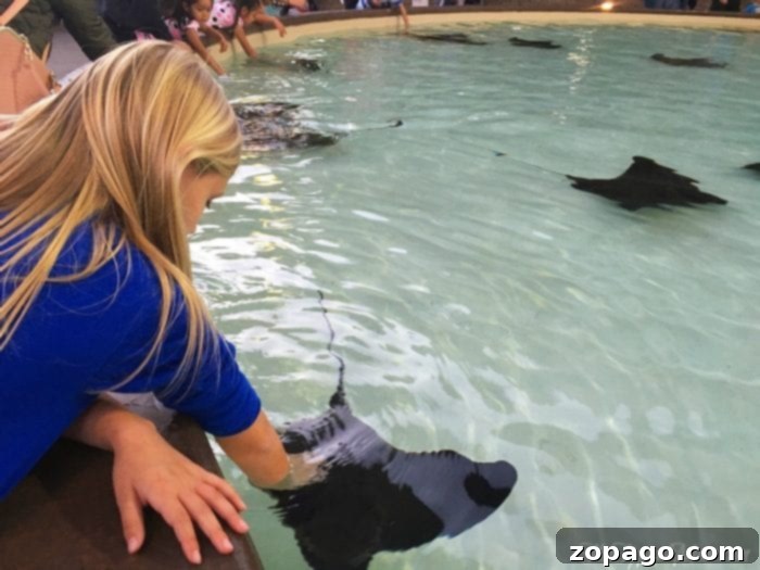 The SeaWorld Preschool Pass opens doors to endless family adventures. Happy family exploring SeaWorld, benefiting from the preschool pass