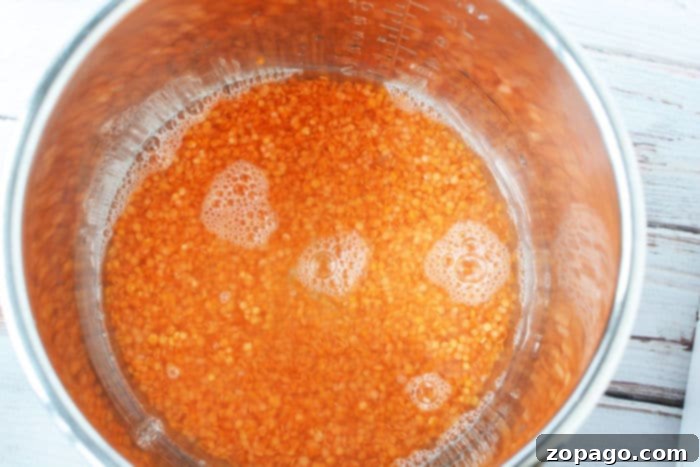Easy Instant Pot Red Lentils 5 A bowl of perfectly cooked, creamy Instant Pot lentils, ready to be served as a healthy side dish.