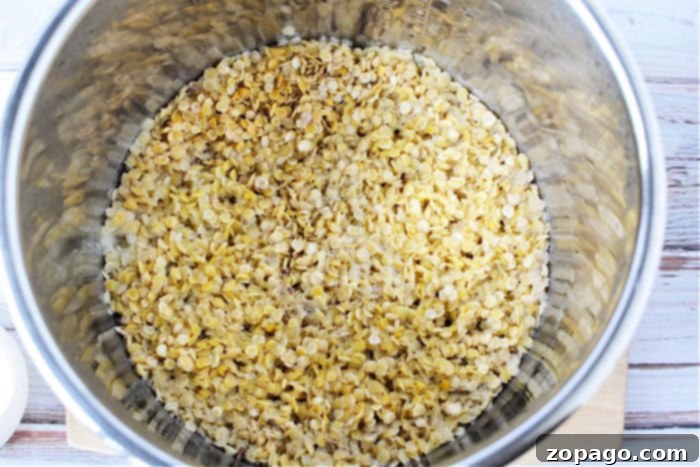 Easy Instant Pot Red Lentils 7 A close-up of tender, cooked pressure cooker lentils in a bowl, garnished with herbs, signifying a healthy meal.