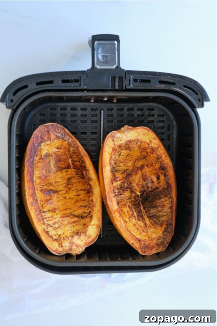 Easy Air Fryer Spaghetti Squash 5 The interior of a cooked spaghetti squash in an air fryer, showing perfectly separated, spaghetti-like strands ready to be scooped.