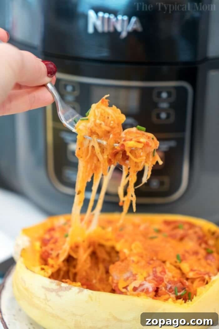 Easy Air Fryer Spaghetti Squash 6 A creative and delicious air fryer spaghetti squash pizza pasta bowl, topped with melted cheese and pepperoni.