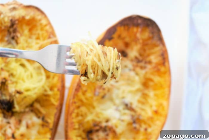 Easy Air Fryer Spaghetti Squash 7 A close-up of tender, flavorful spaghetti squash strands freshly scraped out from the air-fried squash, ready for serving.