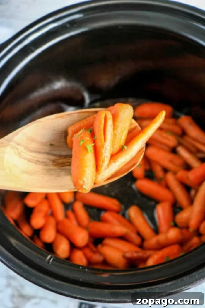 Glazed Slow Cooker Carrots 2 In the cozy embrace of a crockpot, baby carrots simmer to perfection. A wooden spoon lifts the tender morsels, celebrating a simple yet delectable creation.
