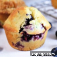 Heavenly Zucchini Blueberry Muffins 12 Delicious Zucchini Blueberry Muffins