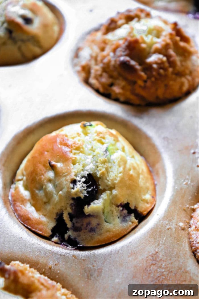 Heavenly Zucchini Blueberry Muffins 9 A delicious homemade Zucchini Blueberry Muffin with a perfect golden crust and visible blueberries, ready to be enjoyed.
