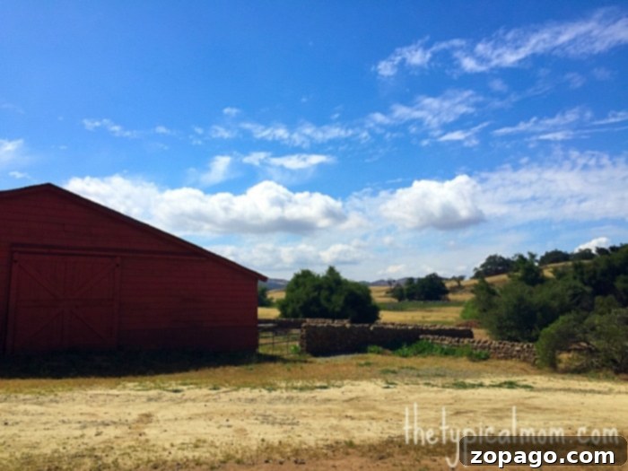 Picture-Perfect Temecula Locations 2 Santa Rosa Plateau