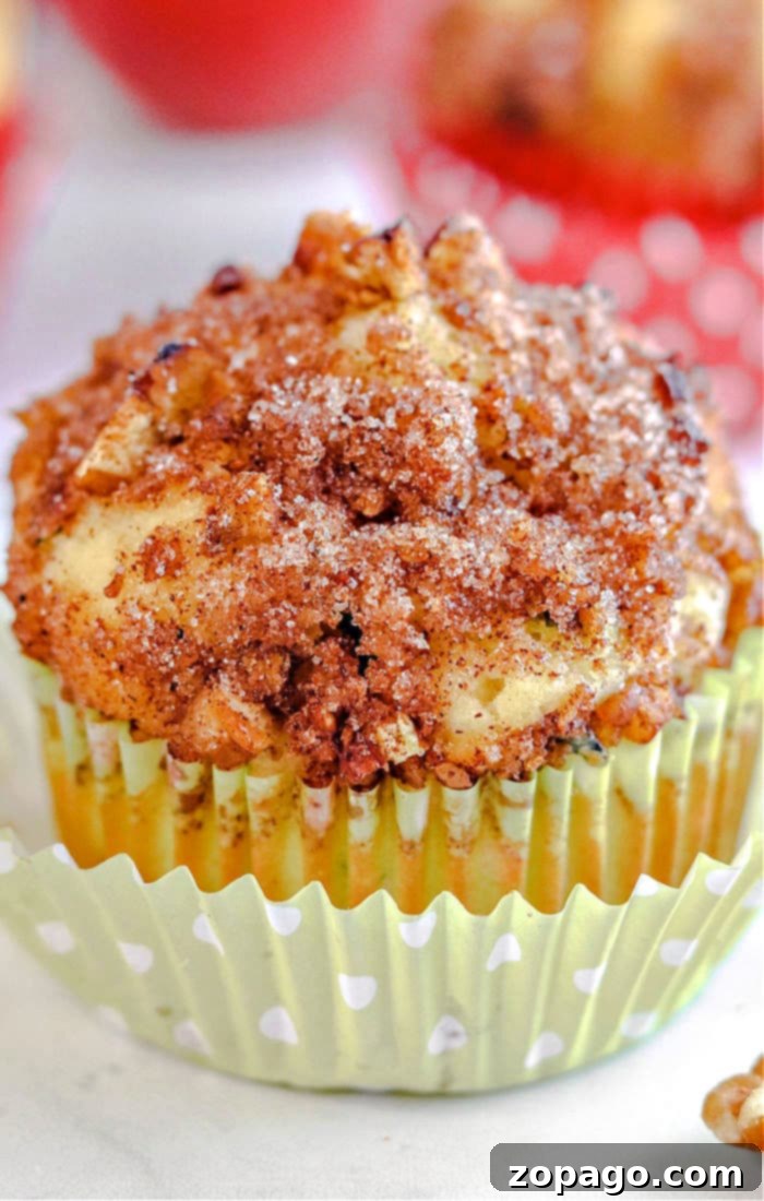 Orchard and Garden Muffins 2 Delicious Cinnamon Apple Zucchini Muffins ready to eat.