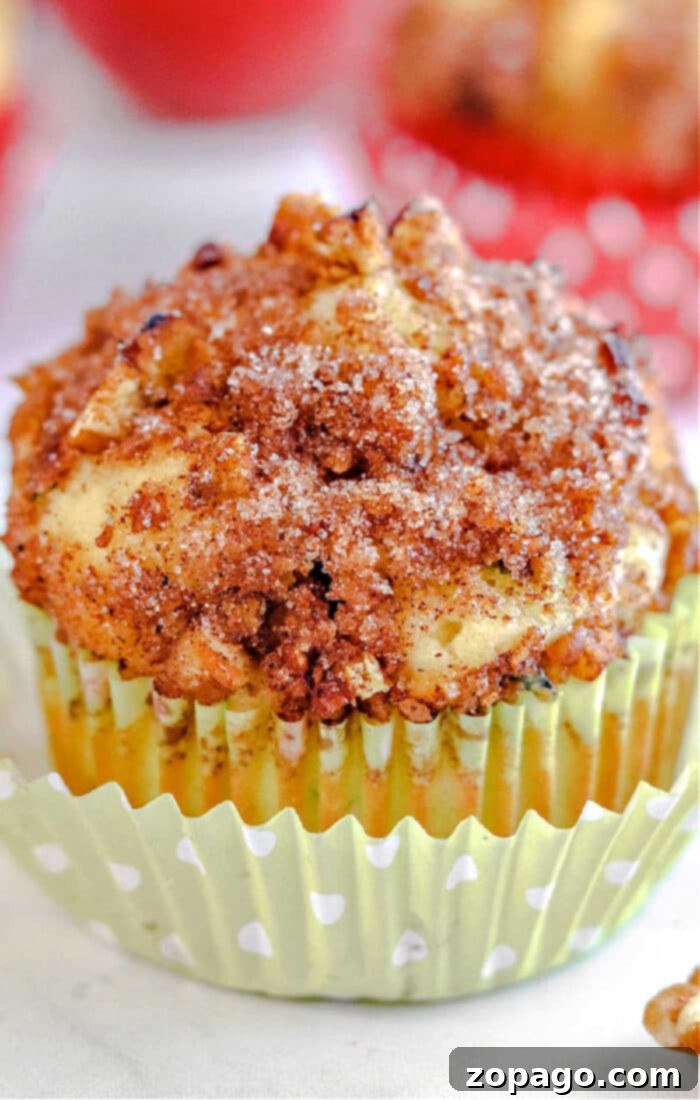 Orchard and Garden Muffins 10 A single Cinnamon Apple Zucchini Muffin with streusel topping, showcasing its moist interior.