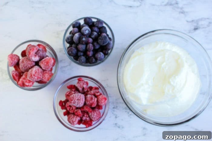 Create Perfect Homemade Popsicles 3 How to Make Popsicles