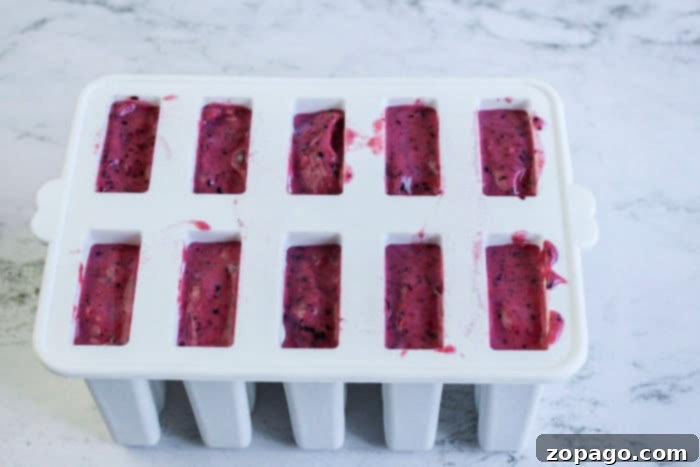Create Perfect Homemade Popsicles 5 fresh berry popsicles