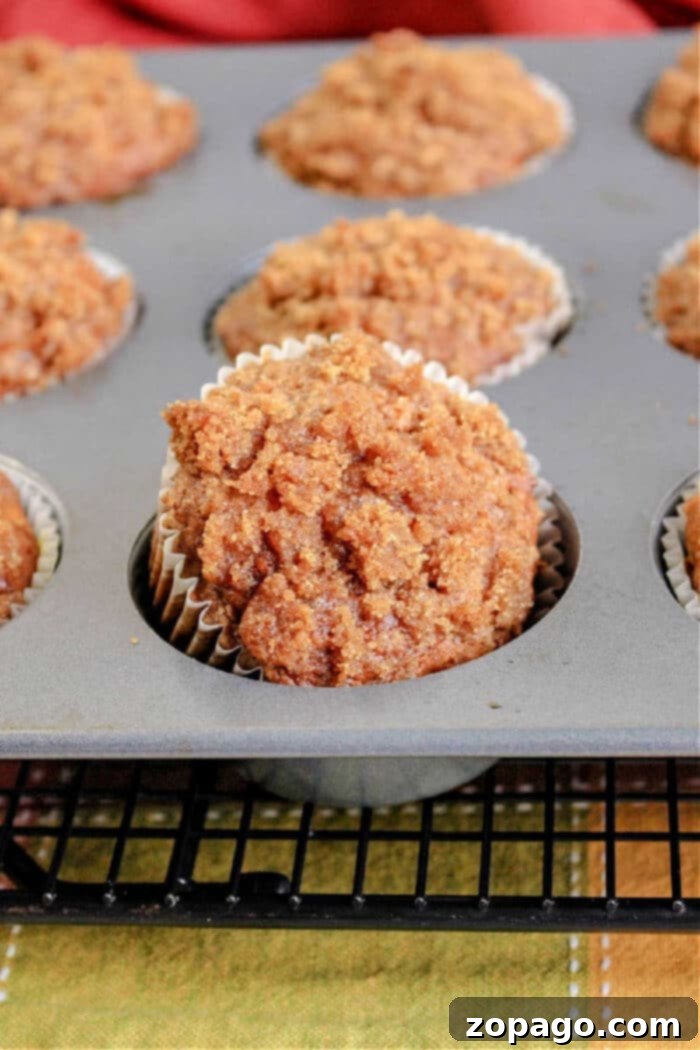 Spiced Pumpkin Streusel Muffins 2 Delicious pumpkin oatmeal muffins with a streusel topping, perfect for fall baking.