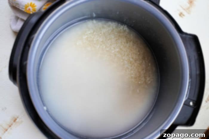 Perfect Instant Pot Jasmine Rice 5 rice instant pot